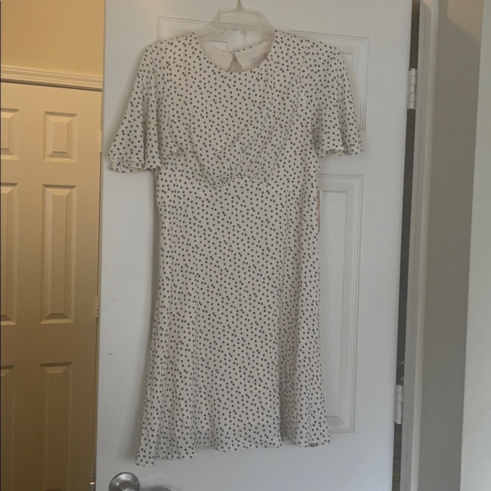 Gianni Bini ivory polka dot dress